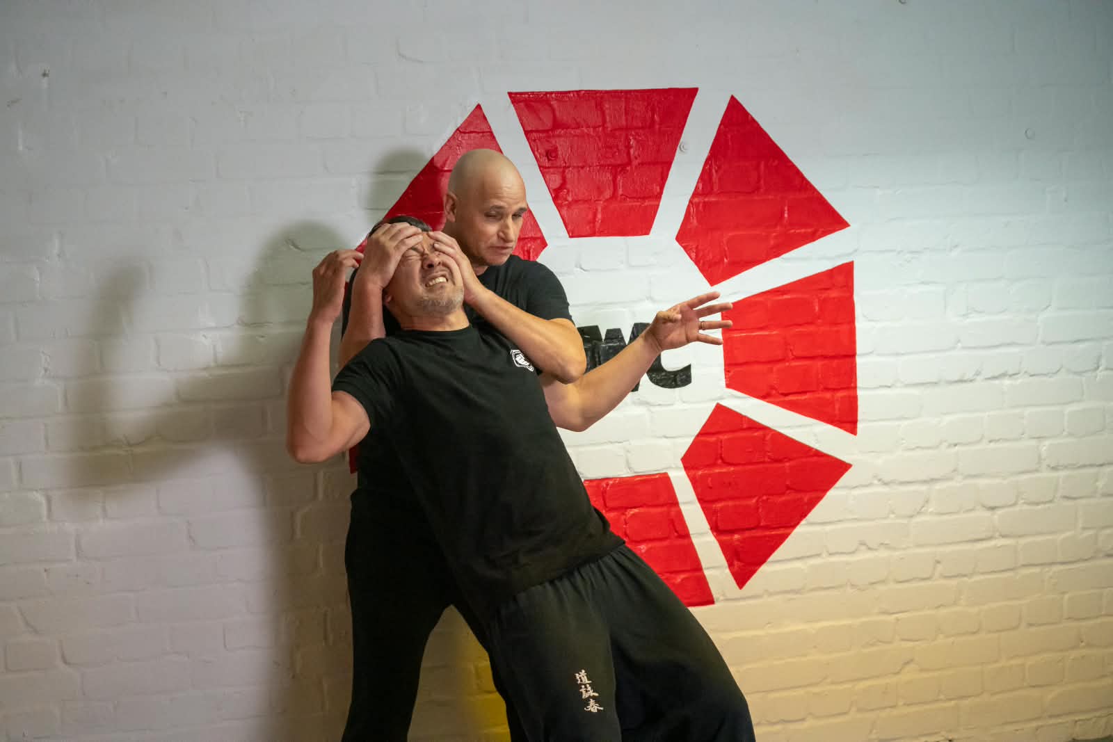 Befreiungstechnik aus dem Kopfgriff im Krav Maga Modular